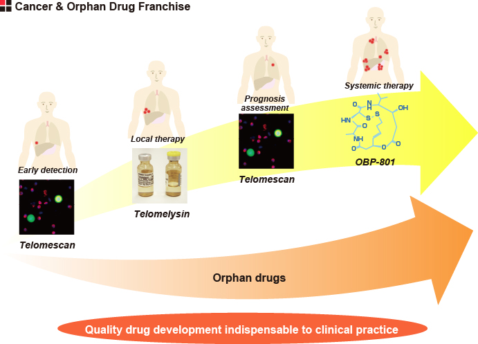 Cancer & Orphan Drug Franchise