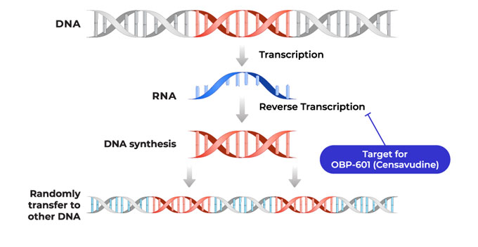 OBP-601 (Censavudine)