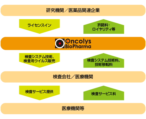 ビジネスモデル 事業概要 Oncolys Biopharma Inc オンコリス バイオ ファーマ 株式会社