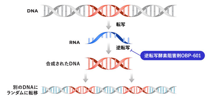 OBP-601 (Censavudine)