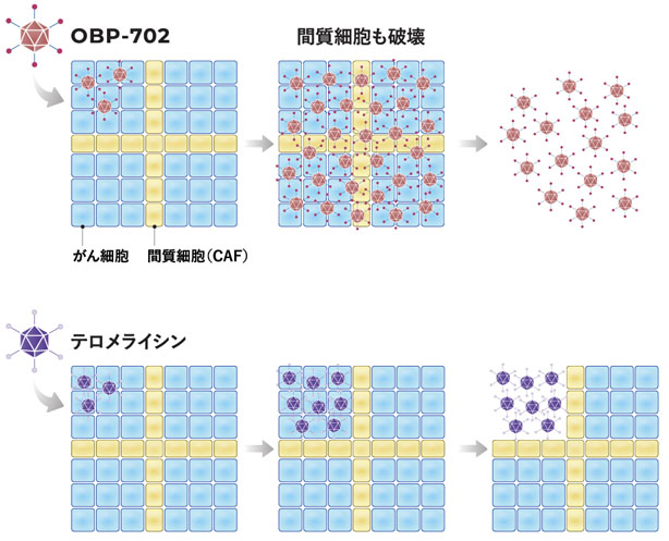 テロメライシン®702