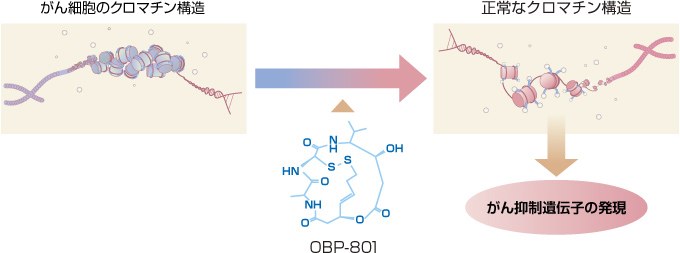 OBP-801